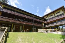 Studio a Madonna di Campiglio - SILVANA 08 STUDIO 022247-AT-673702