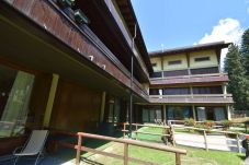 Studio a Madonna di Campiglio - SILVANA 03 STUDIO 022247-AT-672370