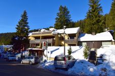 Ferienwohnung in Madonna di Campiglio - MIRALAGO apartment MDC 09