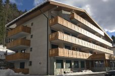 Studio in Madonna di Campiglio - FEVRI STUDIO