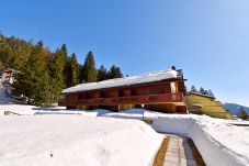 Studio in Madonna di Campiglio - SPINALE DEL SOGNO